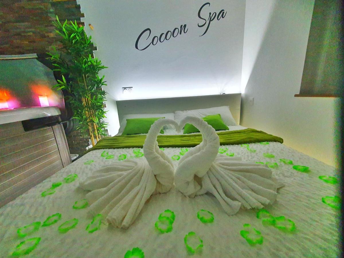 -Gite Cocoon Spa-Jacuzzi-Jardin-Parking Prive-Climatisation Holtzwihr Exterior foto